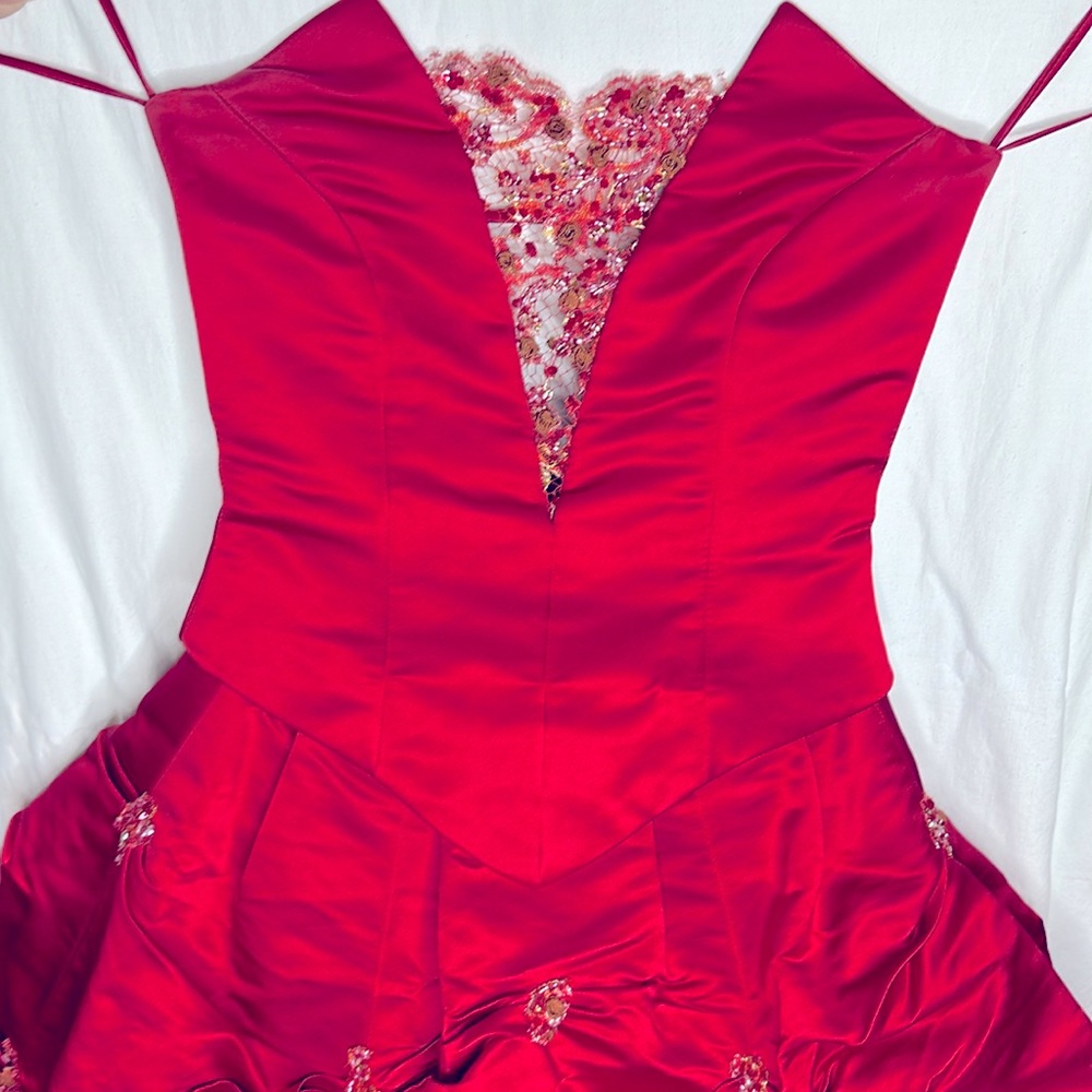 Custom gala gown for any prestigious event / quinces/ prom/ homecoming